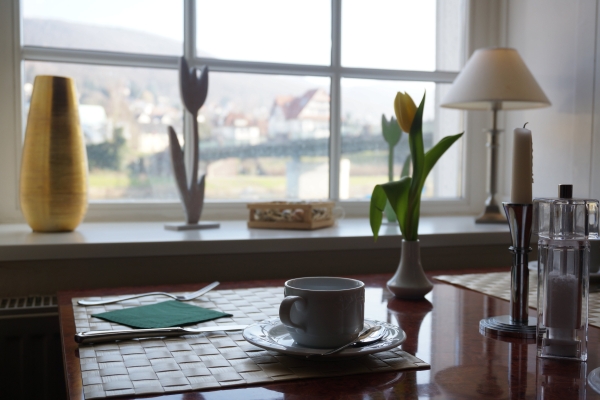 Hotel Goldener Anker (Bodenwerder)